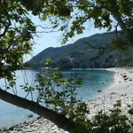 Amelia Beach *