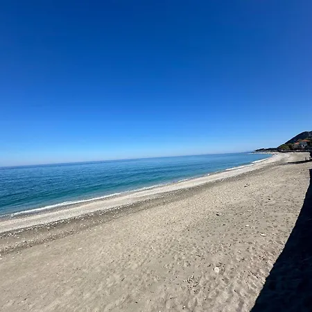 Amelia Beach