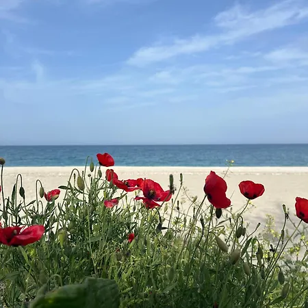 Apartment Amelia Beach Agios Ioannis (Thessaly)